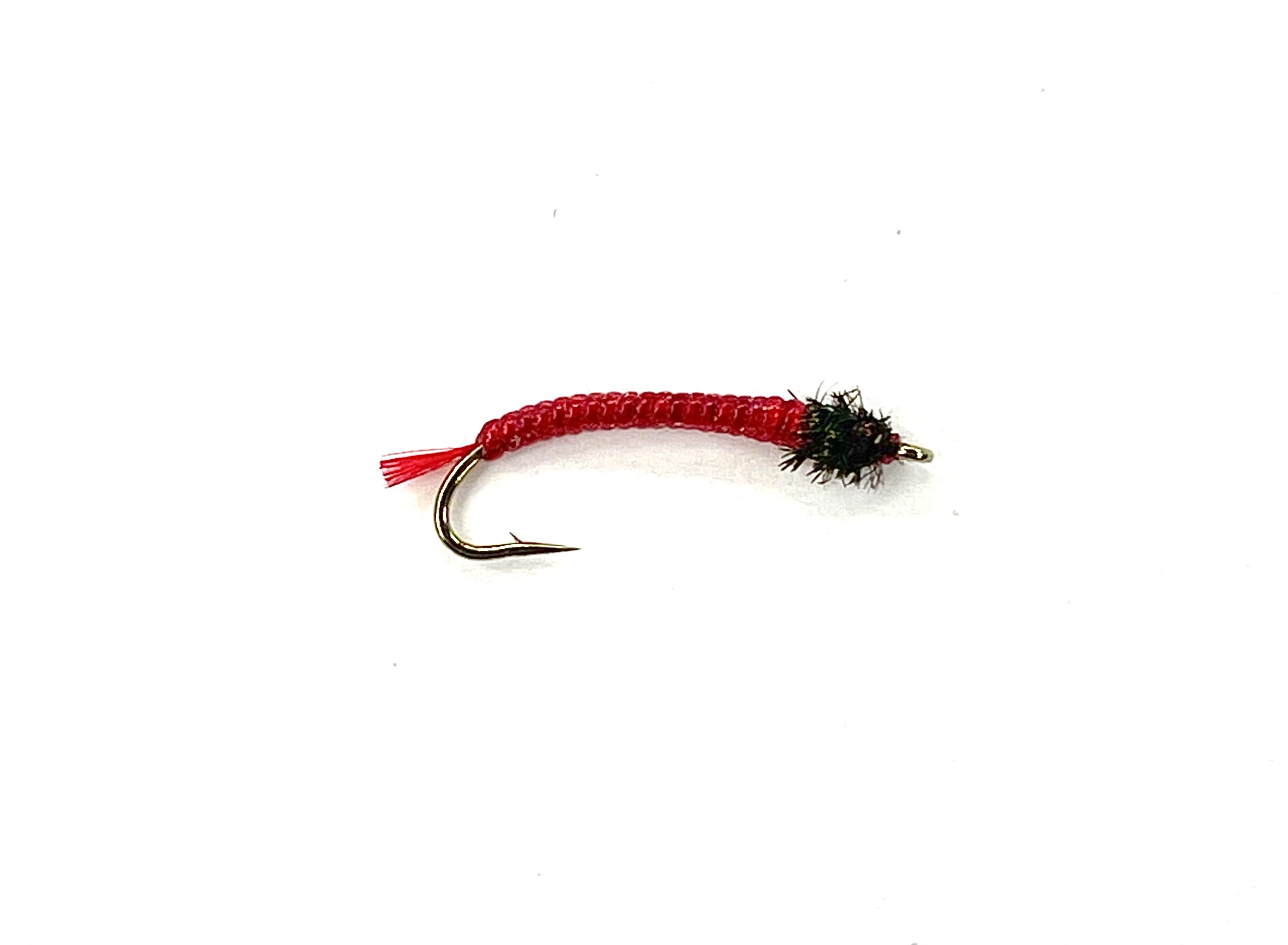 Jennings Bloodworm